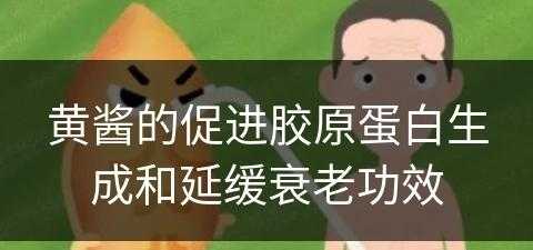 黄酱的促进胶原蛋白生成和延缓衰老功效